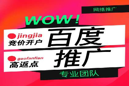 SEM代运营托管公司成功案例分析